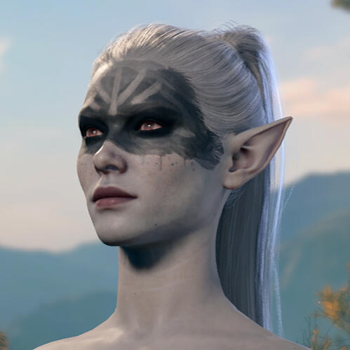 bg3 ingame screenshot bg3 ingame screenshot