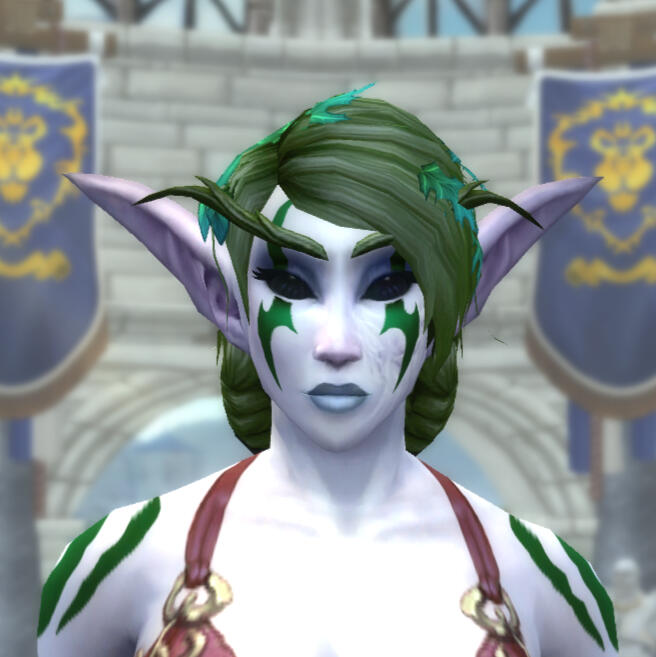 wow ingame screenshot wow ingame screenshot
