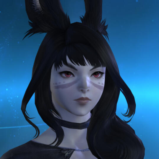 ffxiv ingame screenshot ffxiv ingame screenshot