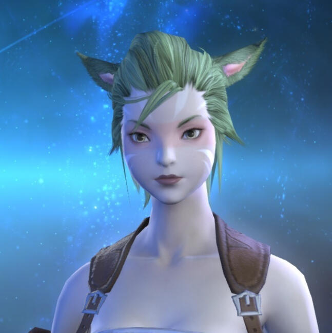 ffxiv ingame screenshot ffxiv ingame screenshot