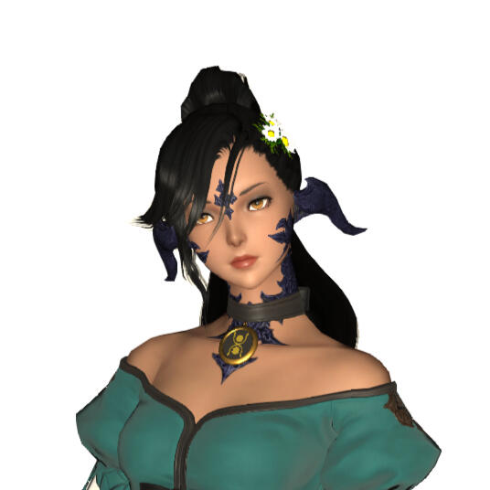 ffxiv ingame screenshot ffxiv ingame screenshot